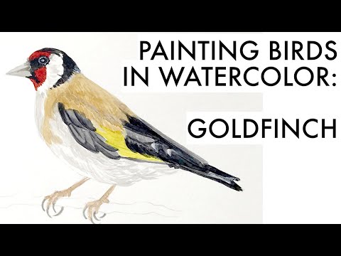 Painting a goldfinch in watercolor | bird sketching tutorial