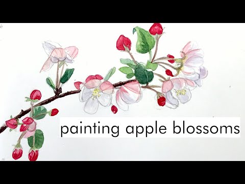Spring time in my sketchbook | painting apple blossoms | relaxing watercolor video | ASMR