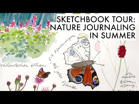 Nature Journal Sketchbook Tour (July 2020)