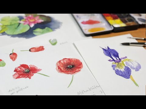 Loose but Precise Florals (course introduction)