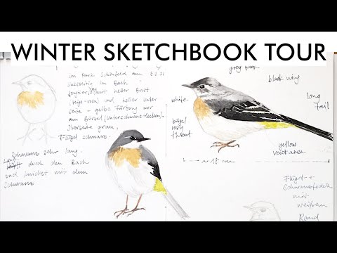 Winter Sketchbook Tour January February 2021 Birds and more