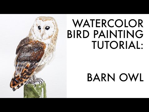 Painting a Barn Owl | Watercolor Painting Tutorial