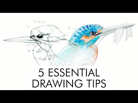How to get better at drawing | 5 top tips + a pep talk