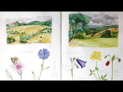 Sketchbook Tour Summer 2022 - small collections, wildflowers, slow drawing
