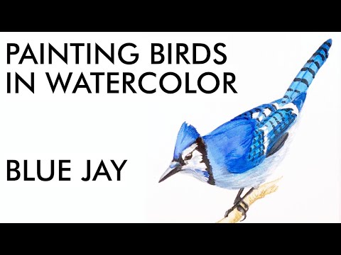 YT Painting a Blue Jay in Watercolor | painting demo