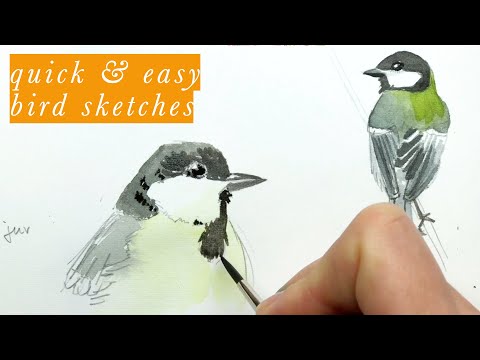 Tips for painting birds in watercolor