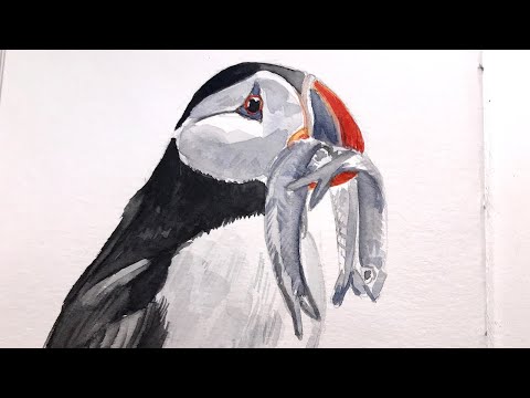 Sketching a puffin in watercolor | Bird painting tutorial | timelapse