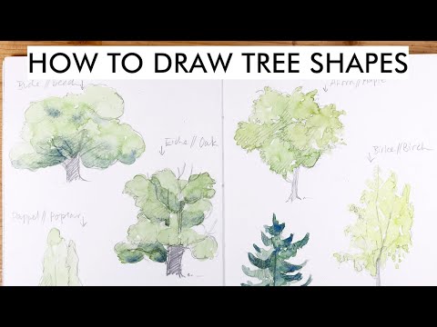 How to draw tree shapes