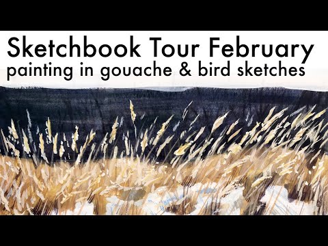 Sketchbook Tour February 2020 | gouache studies, bird sketches