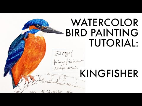Sketching a kingfisher | bird painting tutorial