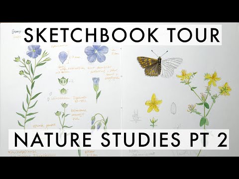 Sketchbook Tour Fall &#039;21: Detailed nature studies (plants, birds, bats) | part 2