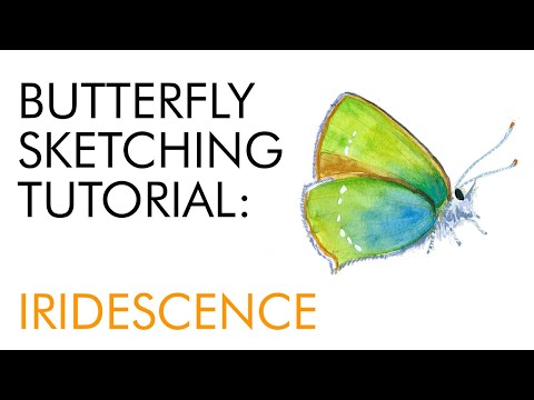 Sketching a green hairstreak butterfly - painting iridescent colors