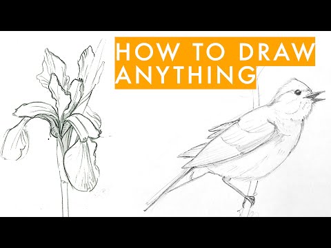 Learn to Draw - How to Draw - Pencil Drawing Basics 