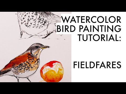 Sketching fieldfares in ink and watercolor