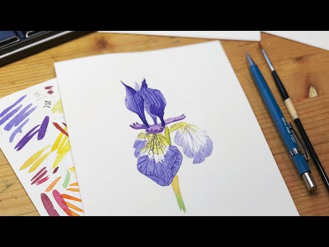 Loose but precise: Painting an iris | flower painting tutorial