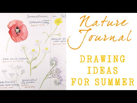 Sketching Summer Flowers - Drawing ideas for summer