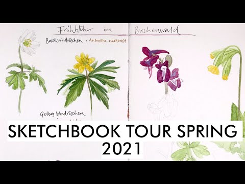 Sketchbook Tour Spring 2021 | Nature sketchbook - spring flowers, birds, landscapes
