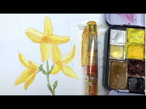 Sketching spring flowers | ink + watercolor
