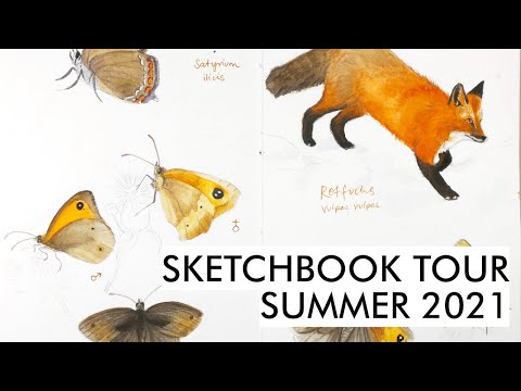Sketchbook Tour Summer 2021 (field sketching - flowers, butterflies, landscapes, birds)