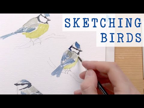 Sketching Eurasian Blue Tits in Watercolor - Bird Painting Demo