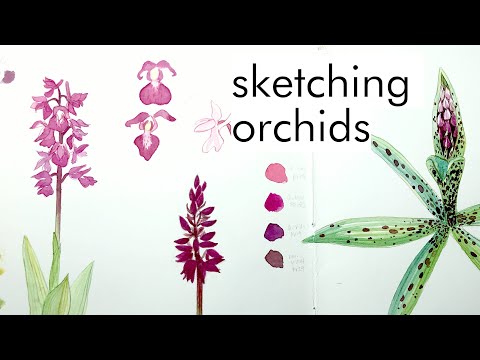 Sketching orchids in the field | hiking and sketching in nature | artist vlog