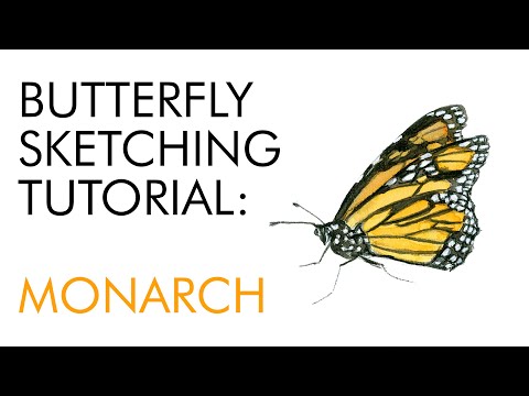 Sketching a monarch butterfly - watercolor tutorial
