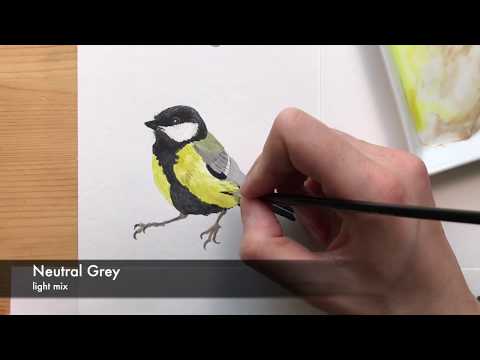 Learn how to paint a bird (great tit) - watercolor tutorial timelapse painting