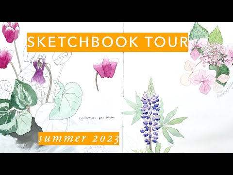 sketchbook tour summer 23