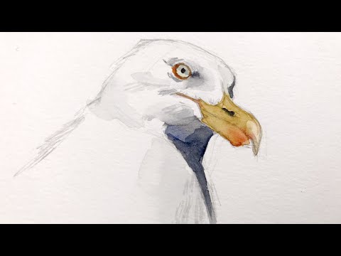 Sketching seagulls | watercolor painting tutorial
