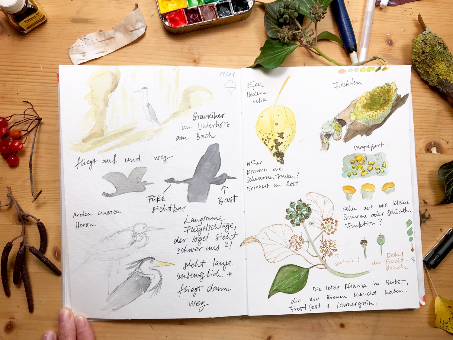 How To Start A Nature Journal Sketchbook Techniques For Nature New Class Julia Bausenhardt