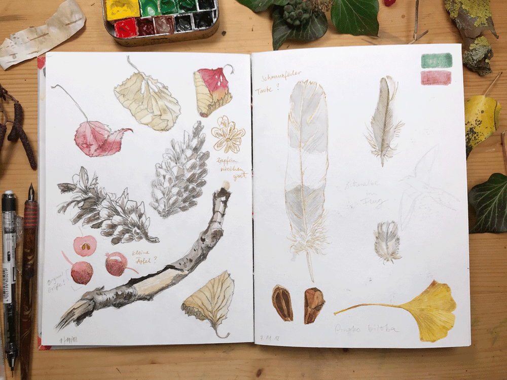 How To Start A Nature Journal - Sketchbook Techniques For Nature - New  Class
