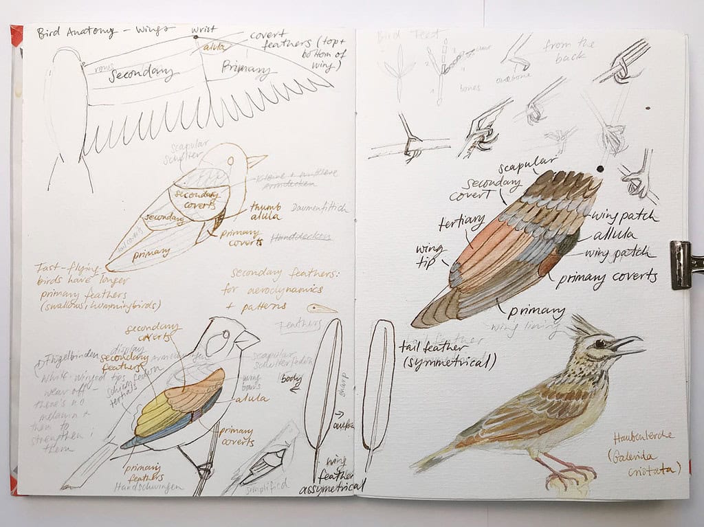 Different Sketchbook Styles - Methods For Observing And Drawing In