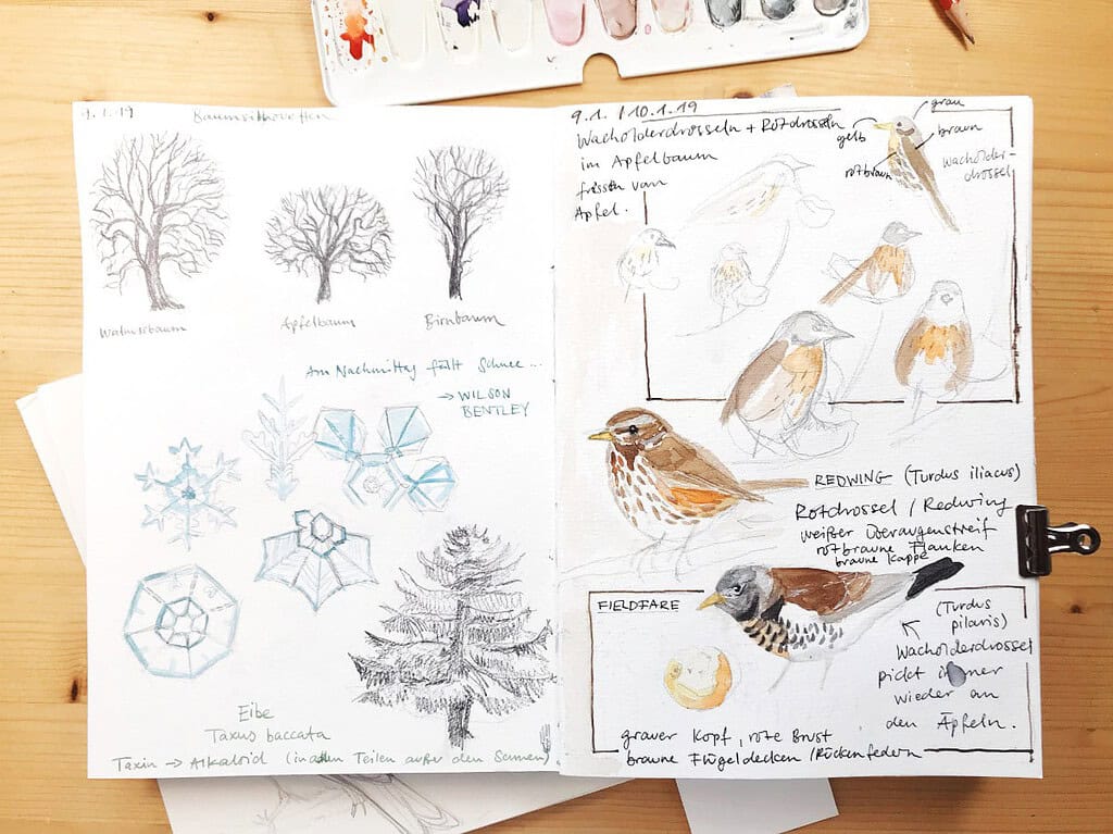 winter drawings | Easy Drawing Guides