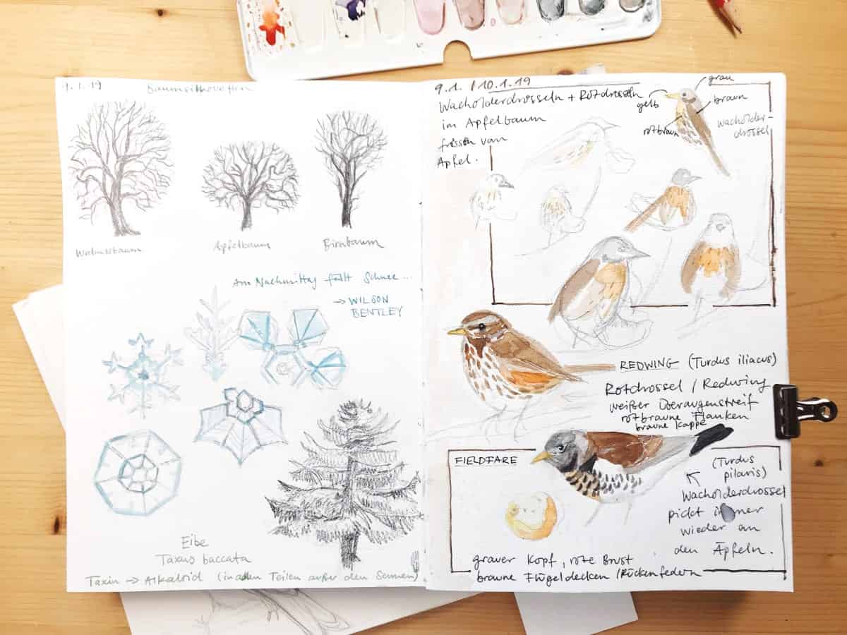 Winter. Nature. Drawings. Pictures. Drawings ideas for kids. Easy and  simple.