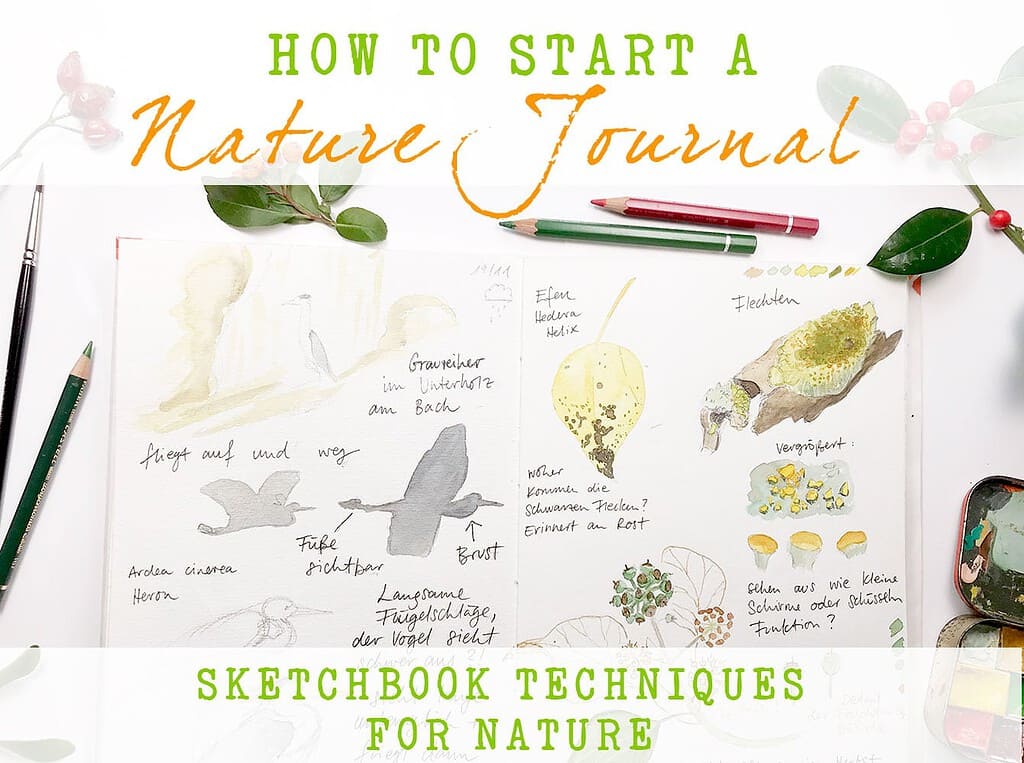 How To Start A Nature Journal - A Beginners Guide