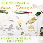 how to start a nature journal 1