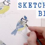 sketching birds