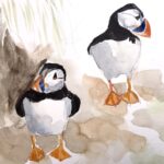 social distancing puffins