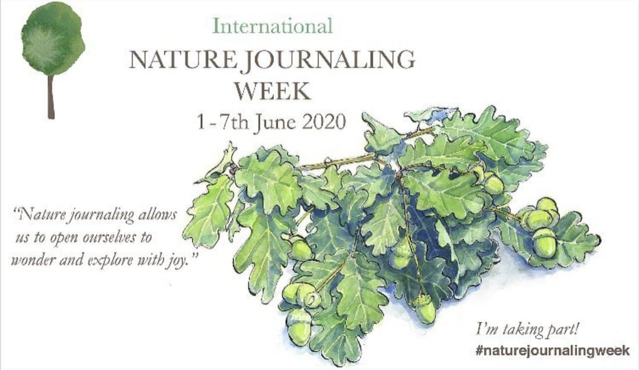 nature journaling week