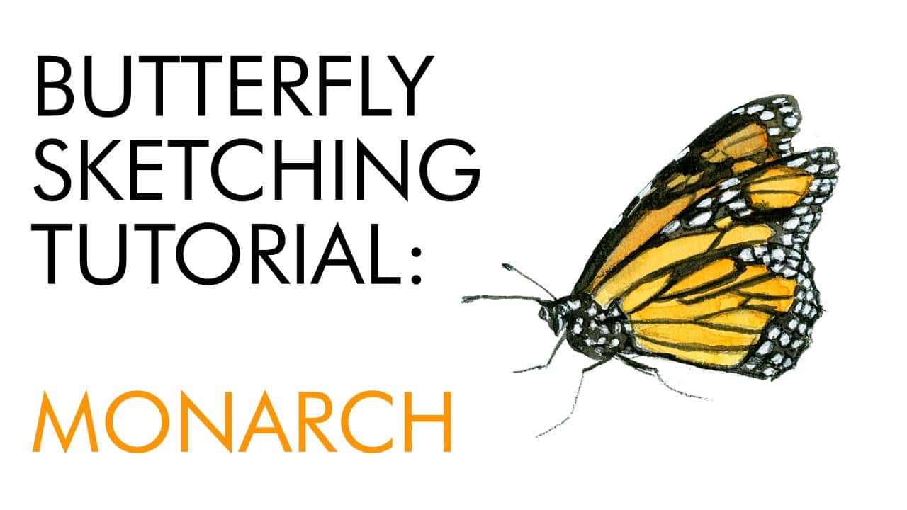 monarch tutorial yt 1