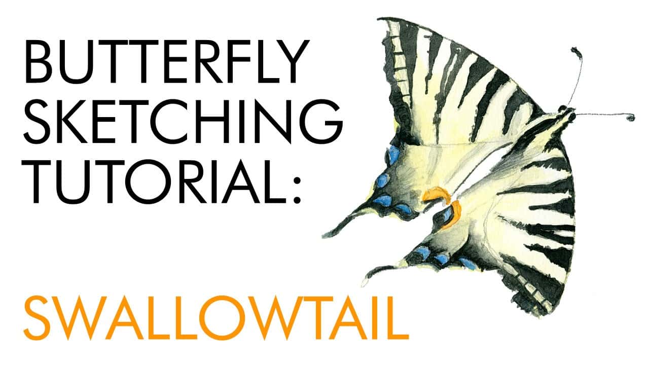 swallowtail tutorial yt 1