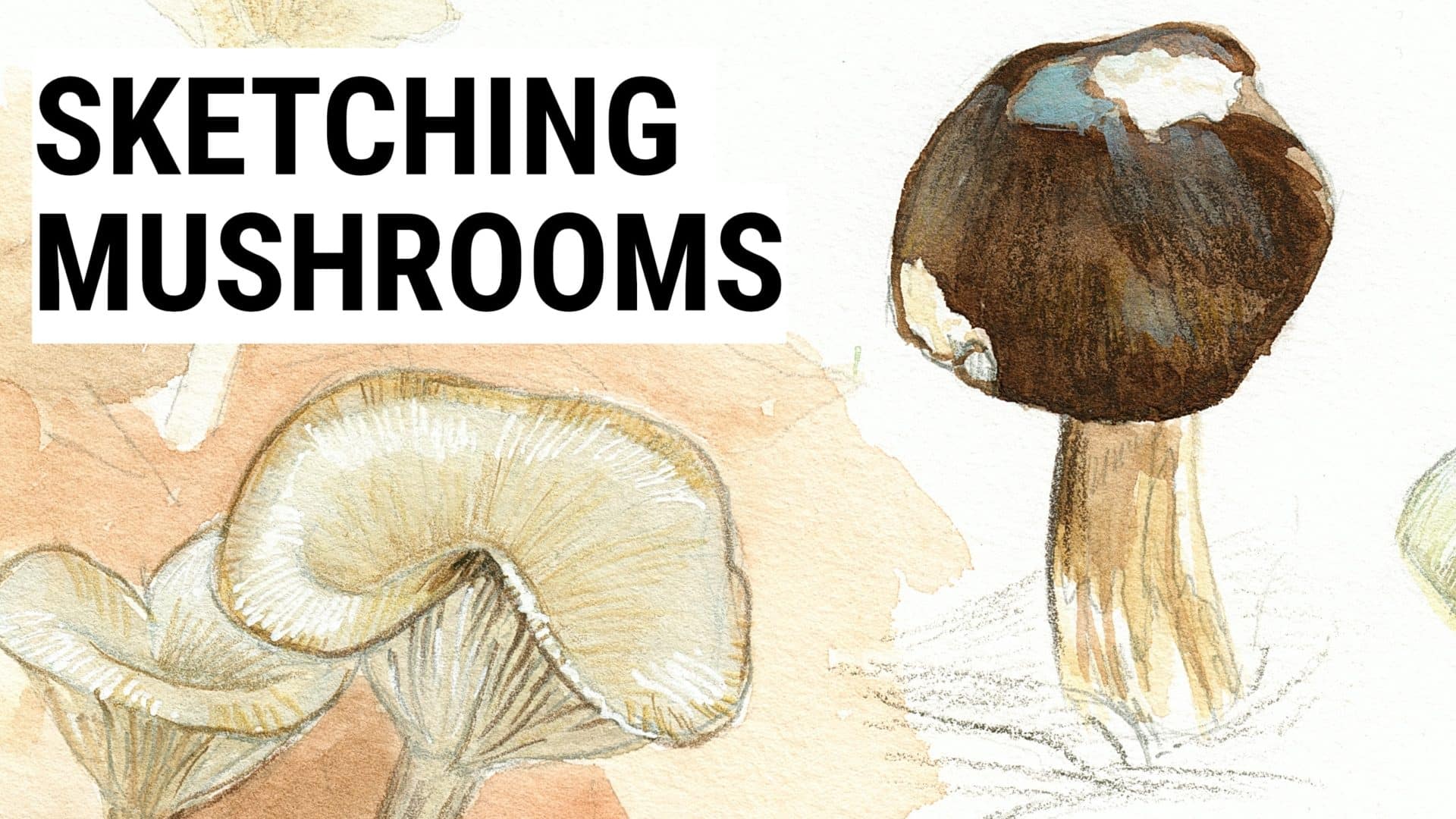 sketching mushrooms 1