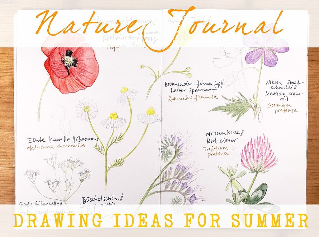 Nature Journaling - Drawing Ideas For Spring  Nature journal, Nature  sketch, Nature drawing