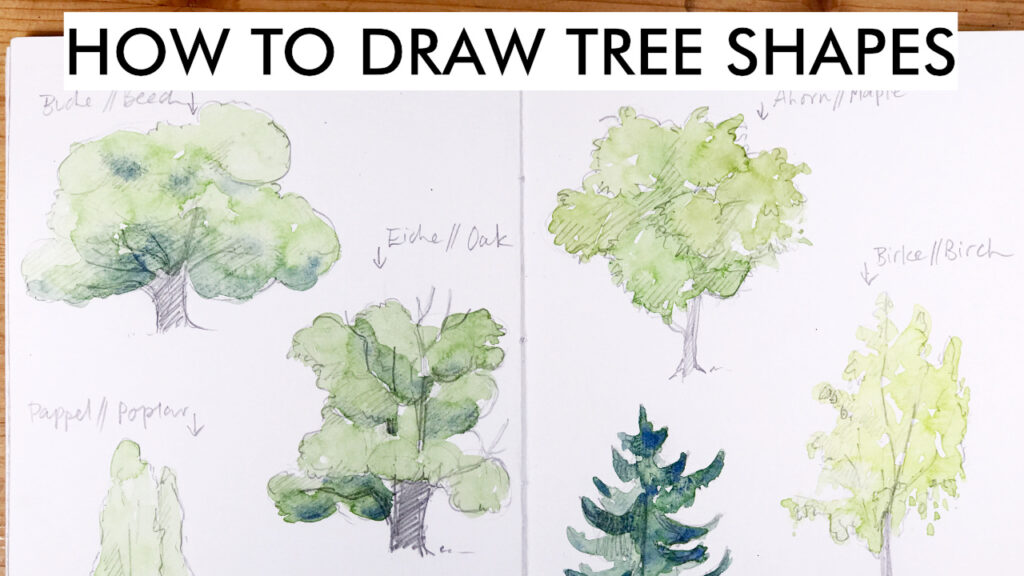 Trees Drawing Tutorials | Botanik çizim, Çizimler, Çizim fikirleri