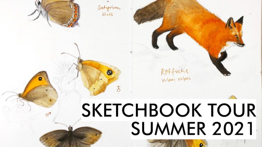 sketchbook tour summer 2021