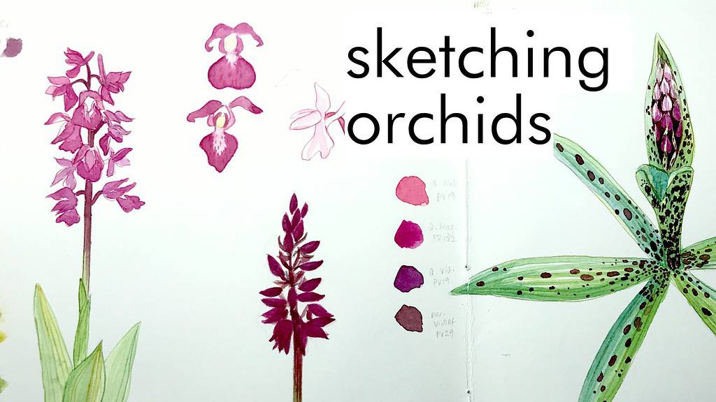 sketching orchids yt