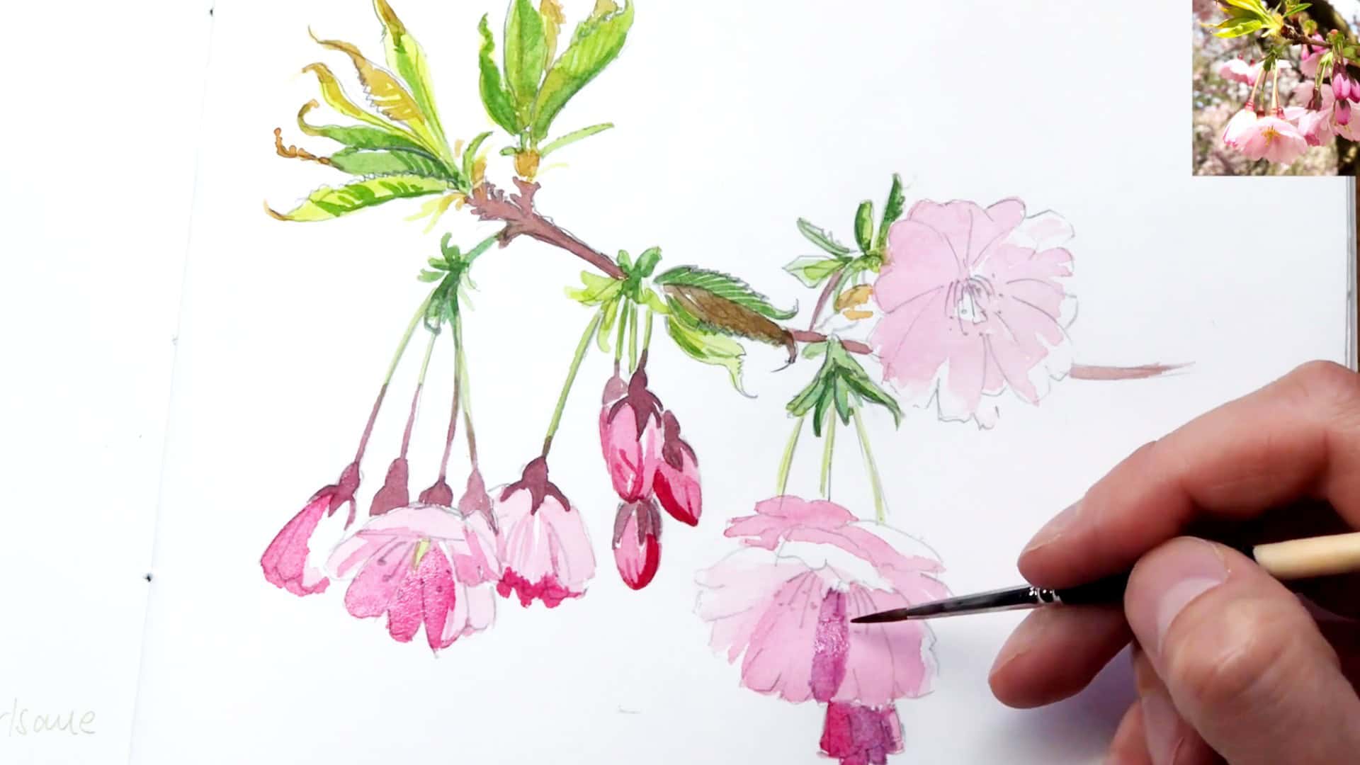 Buy Cherry Blossom Tree Print, Tree Watercolour Painting, Pink Tree, Tree  Art Print Online in India - Etsy