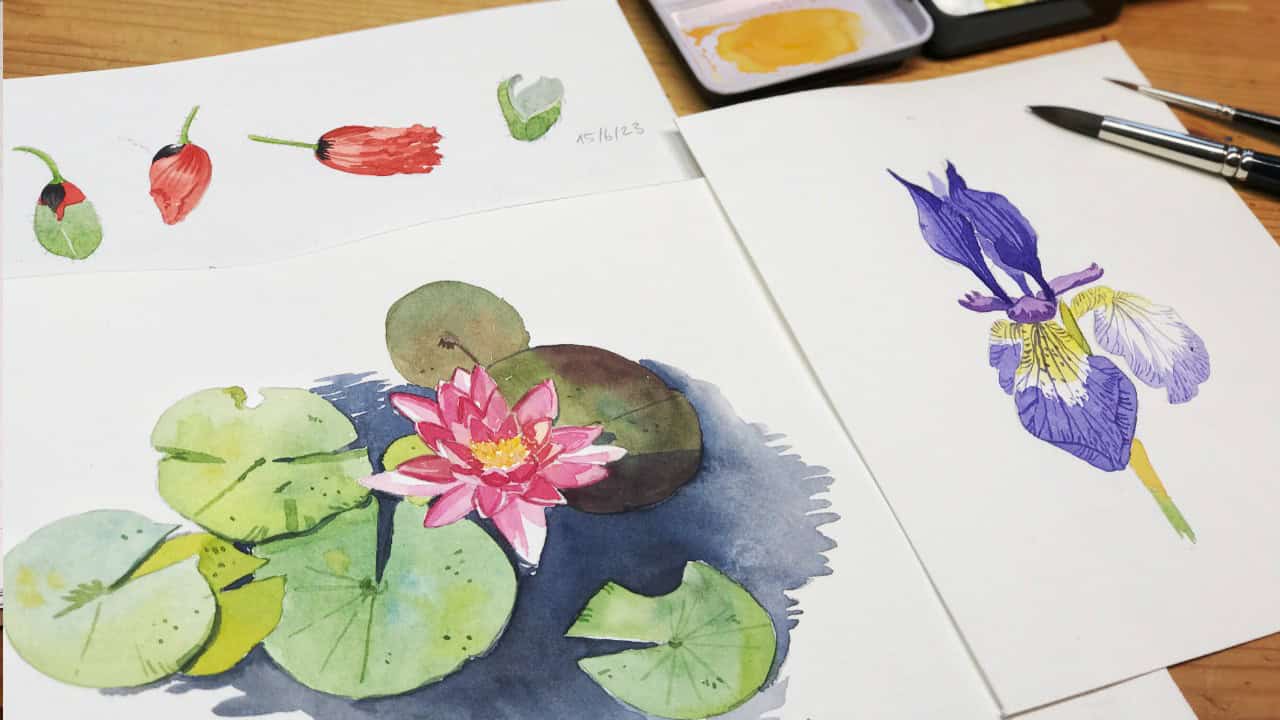 Loose but precise: Expressive and simple floral paintings in