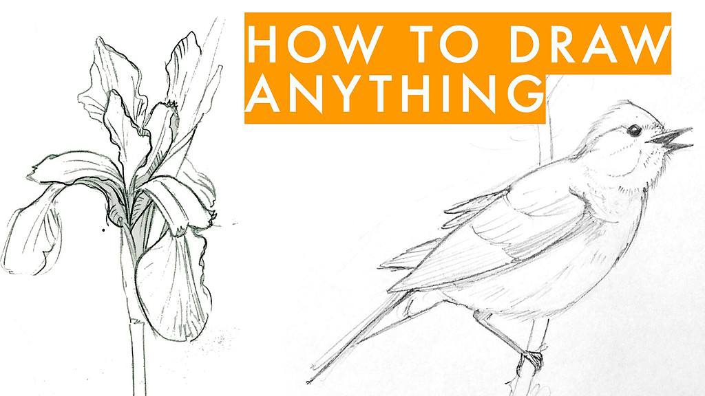 How to Draw an Op Art Bullseye - Art by Ro