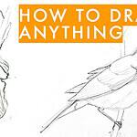 how to draw anything yt